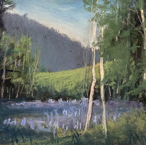 Lupine and Aspens